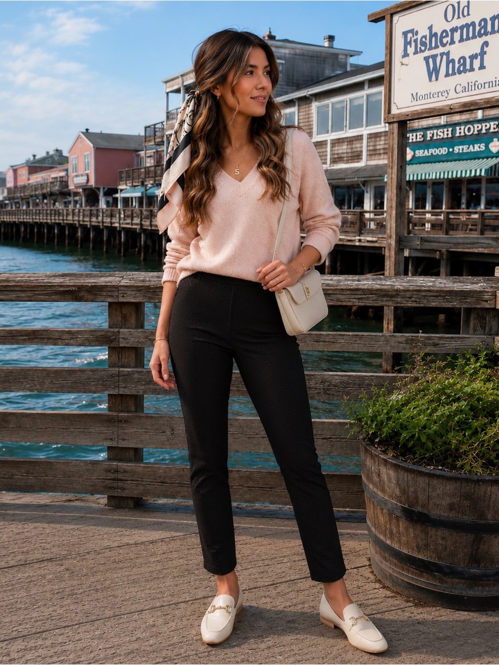 NWT Black Flocked Velvet Polka Dot Ankle Trousers | Modern Preppy Slim Fit Pants